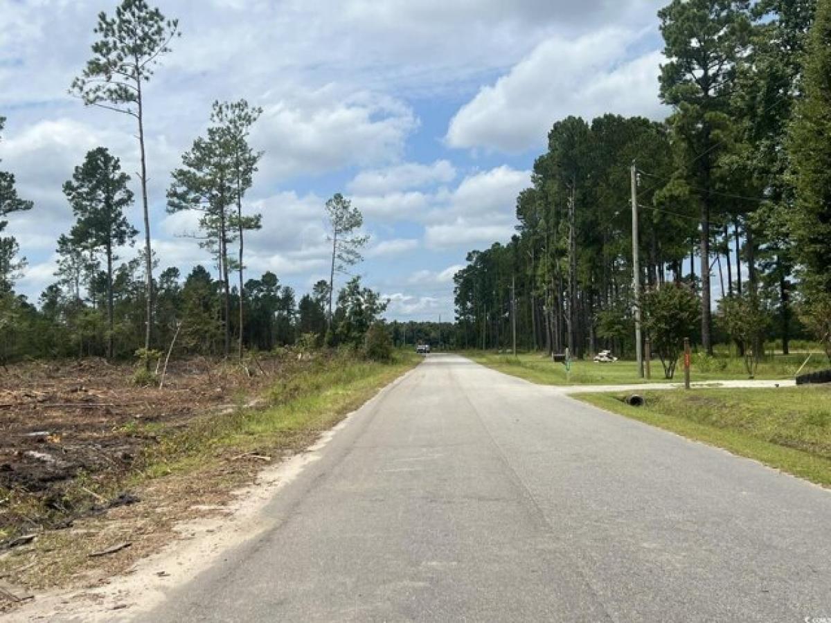 Picture of Residential Land For Sale in Aynor, South Carolina, United States