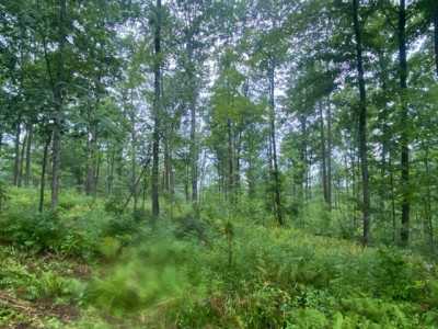 Residential Land For Sale in Kennan, Wisconsin