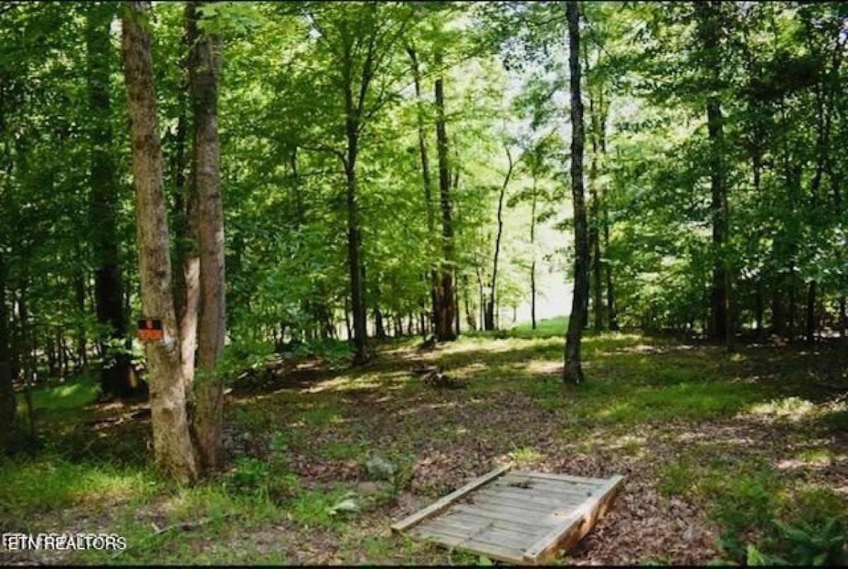 Picture of Residential Land For Sale in New Tazewell, Tennessee, United States