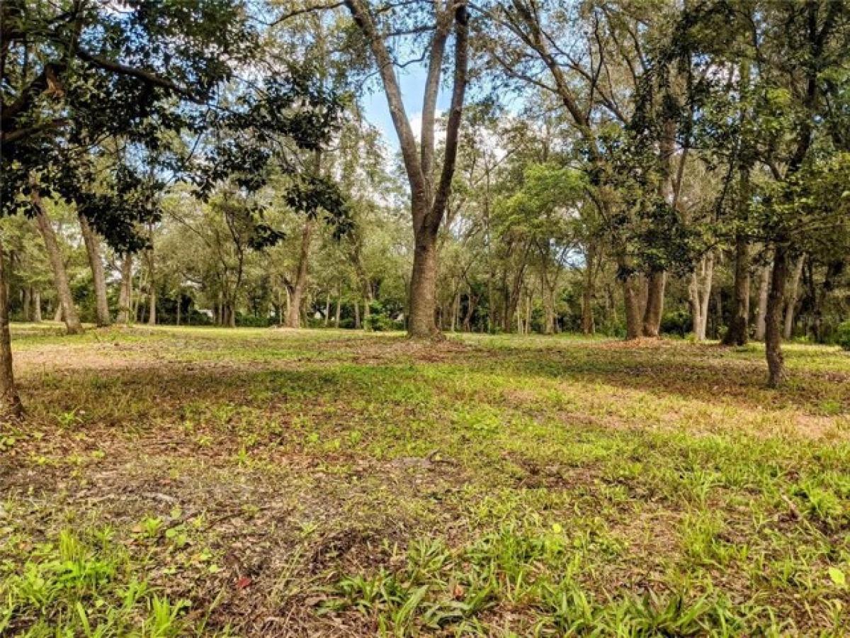 Picture of Residential Land For Sale in Saint Cloud, Florida, United States