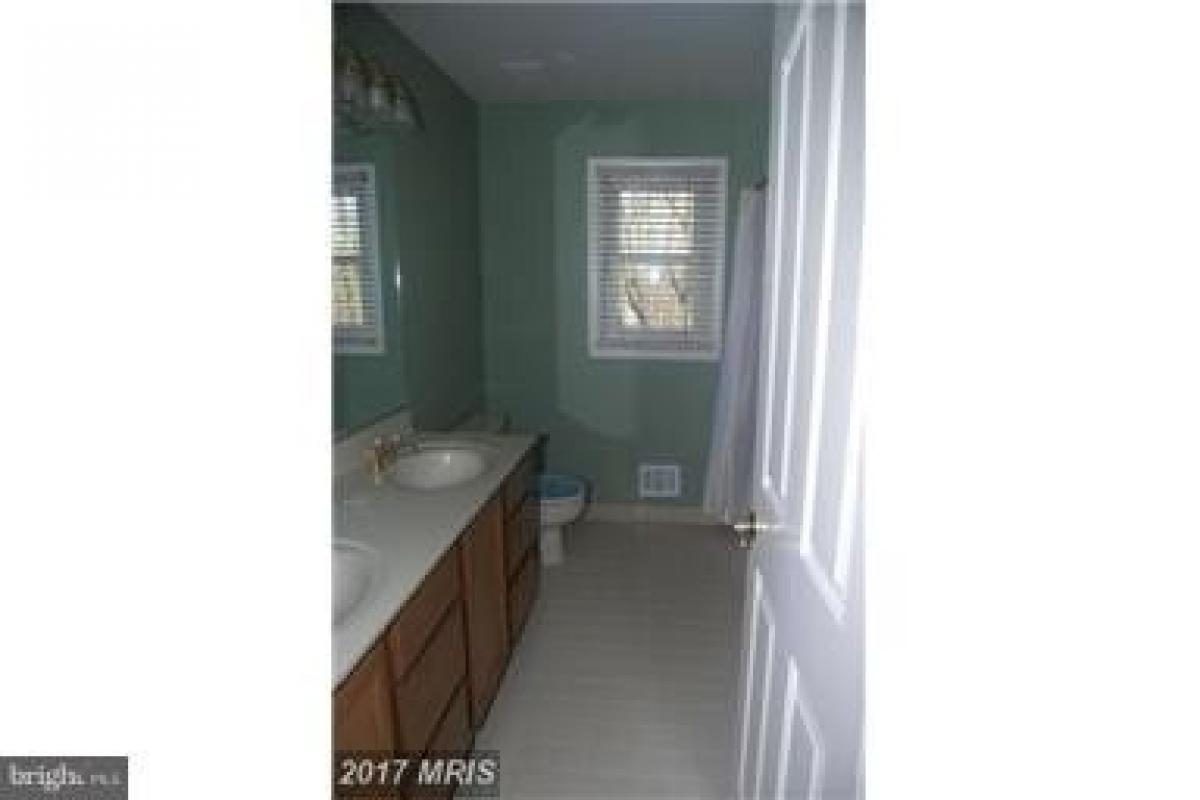 Picture of Home For Rent in Centreville, Virginia, United States