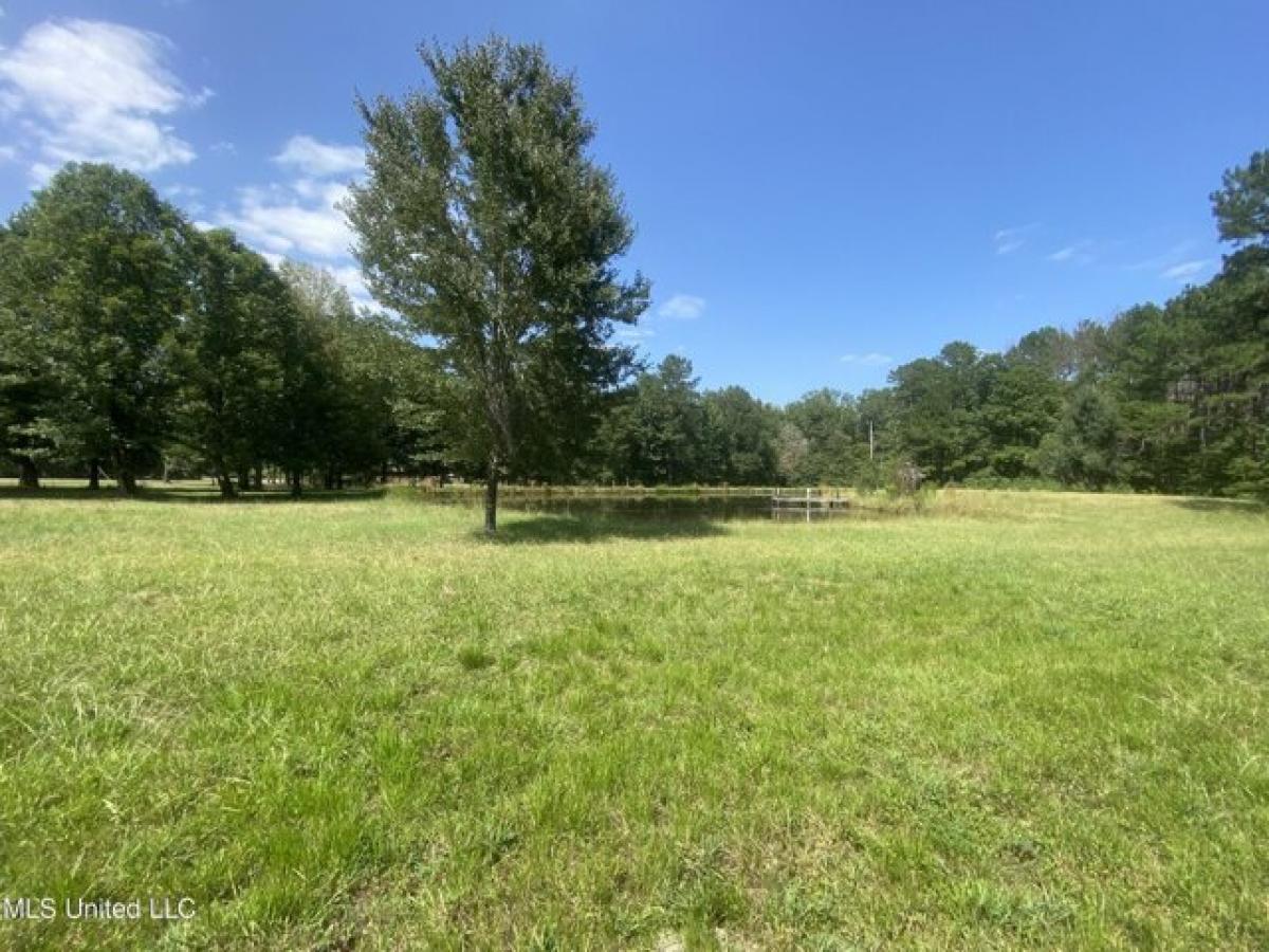 Picture of Residential Land For Sale in Brandon, Mississippi, United States