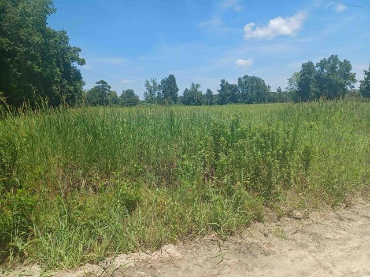 Picture of Residential Land For Sale in Mullins, South Carolina, United States