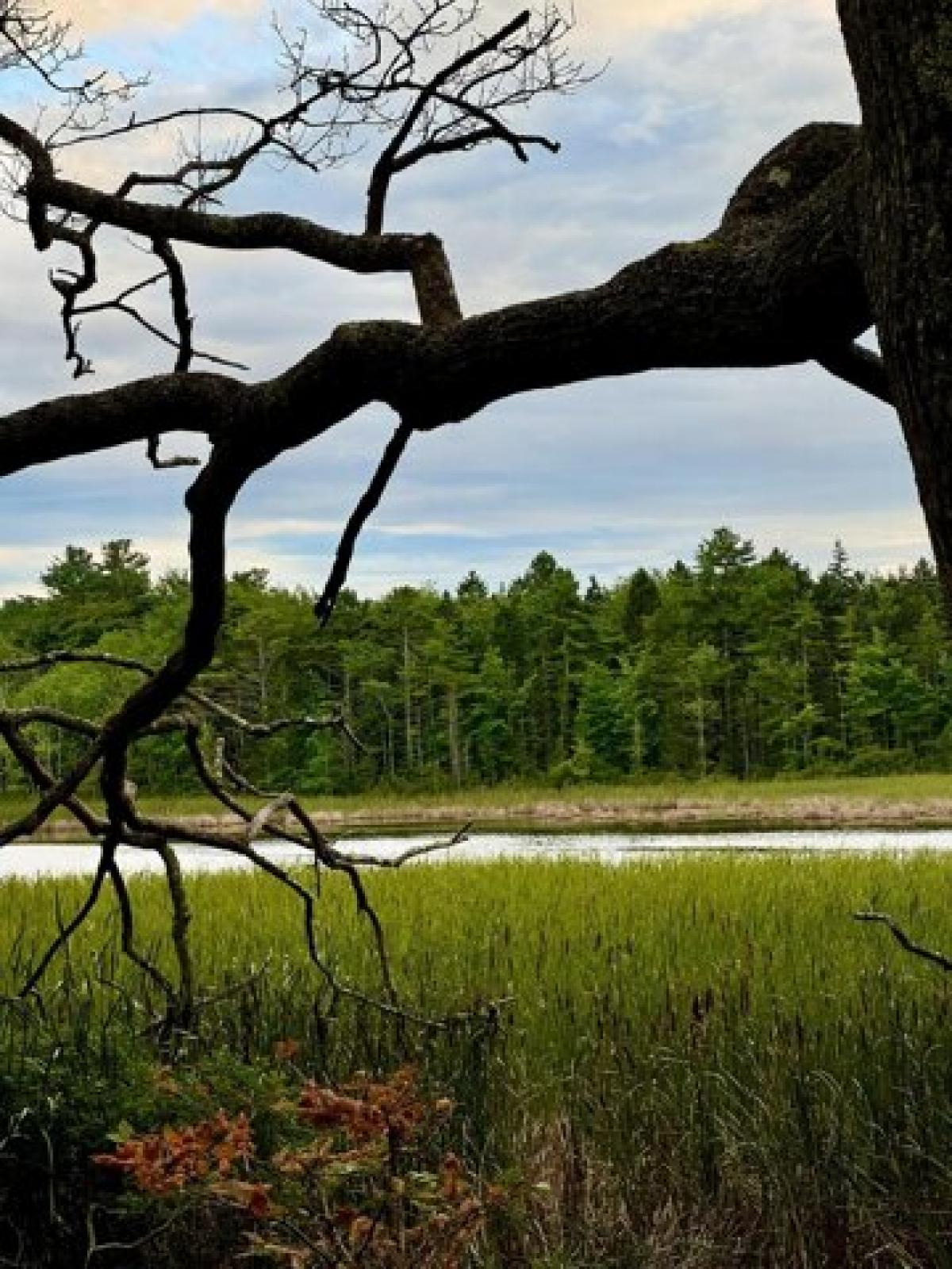 Picture of Residential Land For Sale in Harpswell, Maine, United States