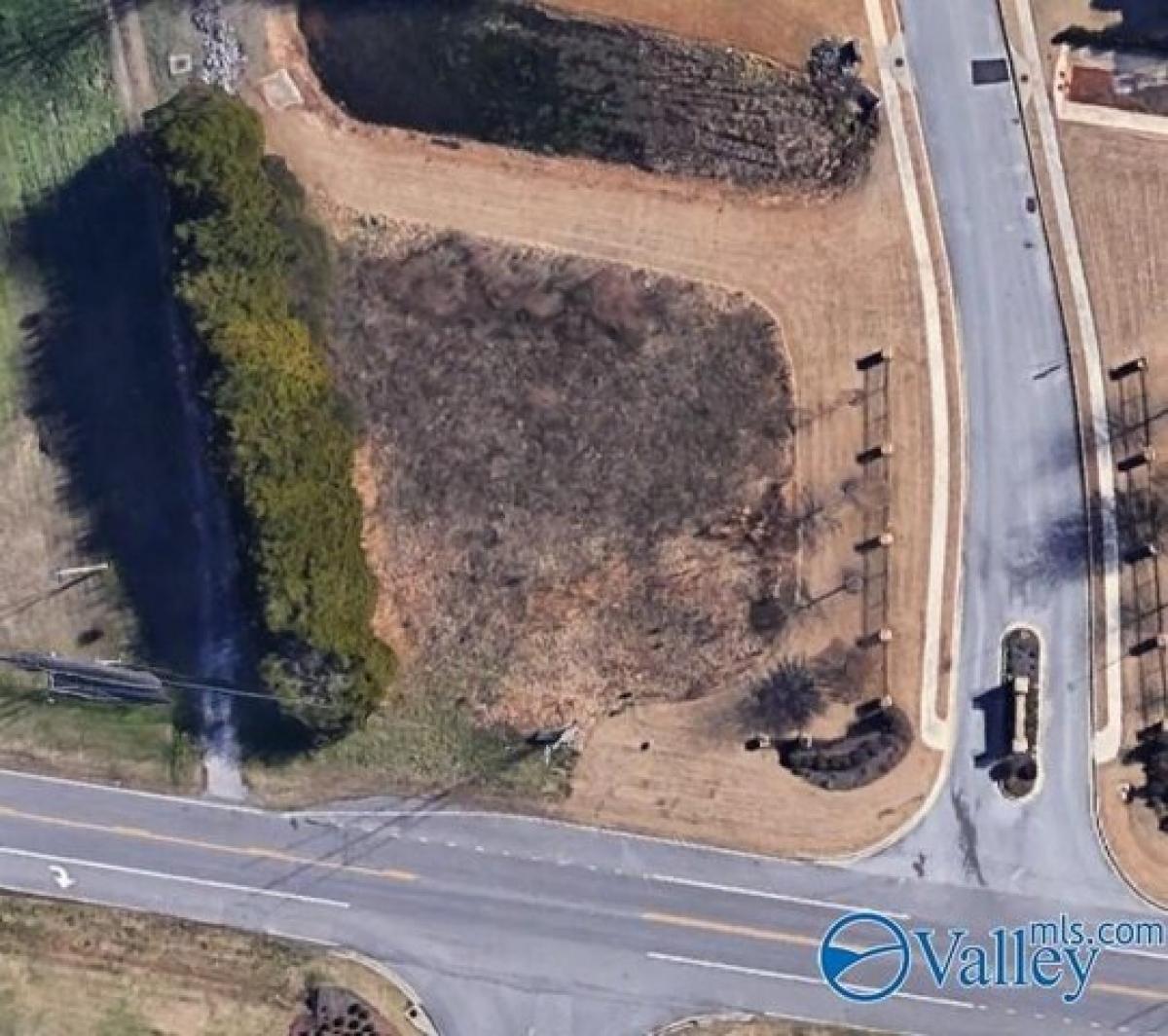 Picture of Residential Land For Sale in New Market, Alabama, United States