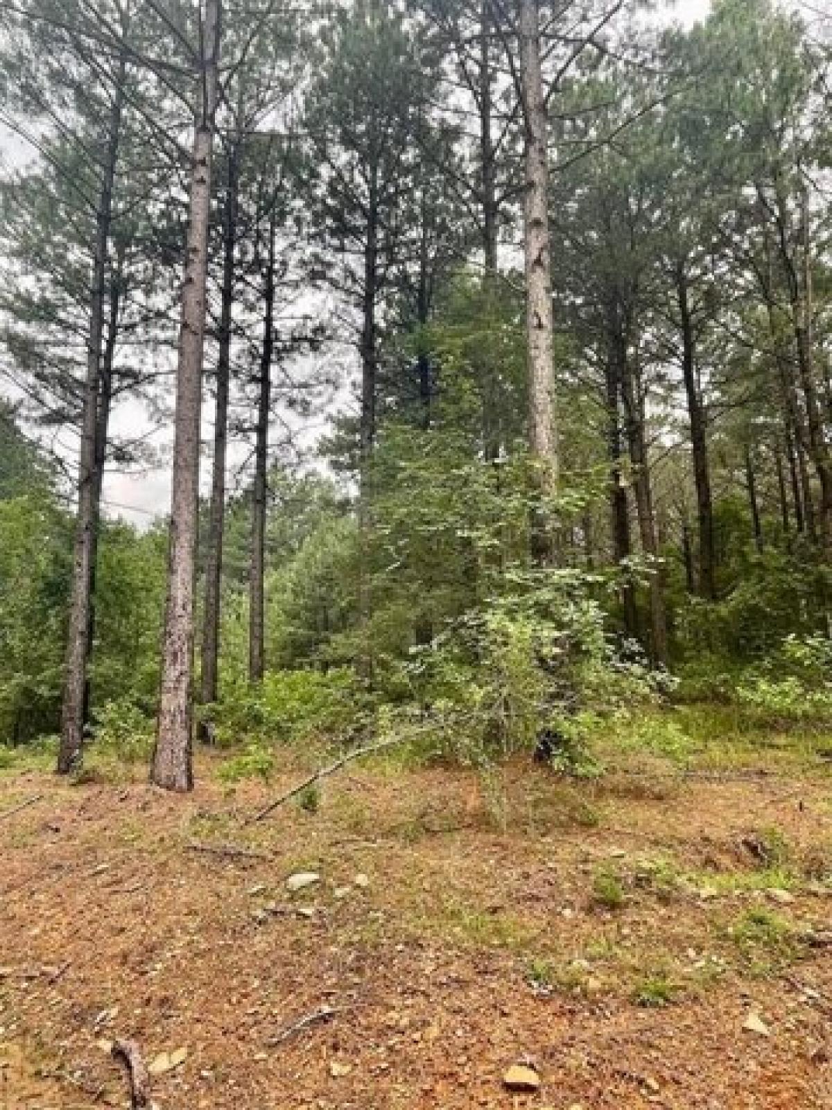 Picture of Residential Land For Sale in Broken Bow, Oklahoma, United States