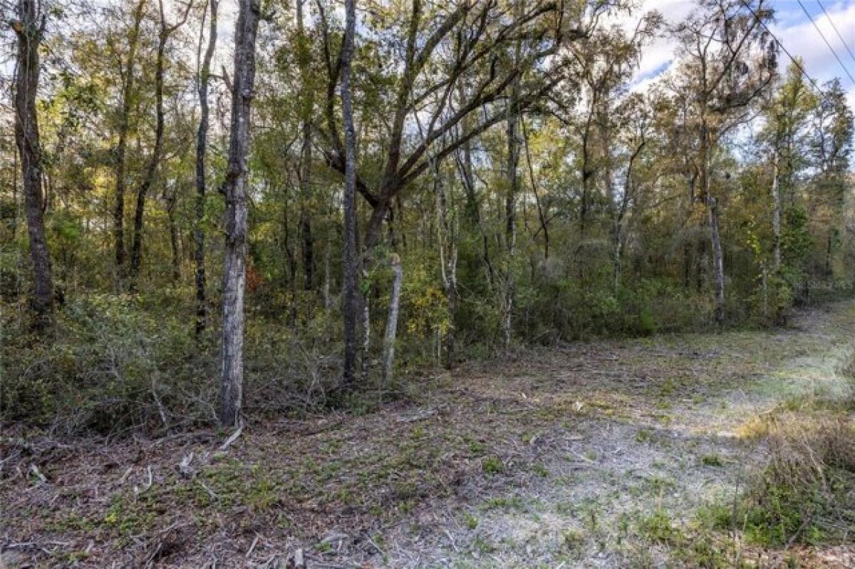 Picture of Residential Land For Sale in Archer, Florida, United States