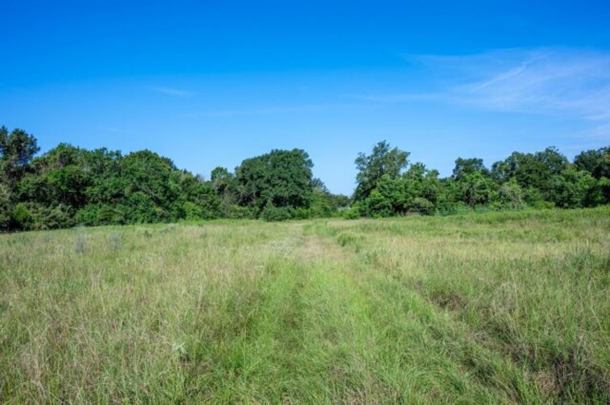 Picture of Residential Land For Sale in Madisonville, Texas, United States