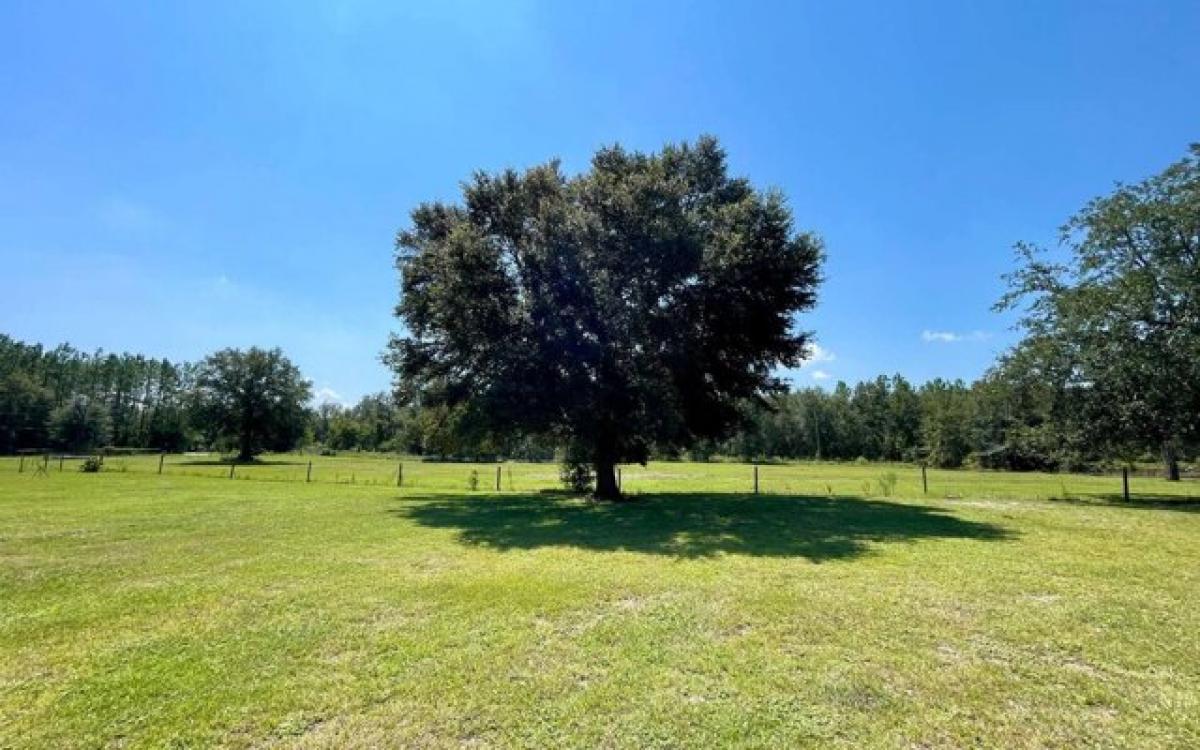 Picture of Home For Sale in Live Oak, Florida, United States