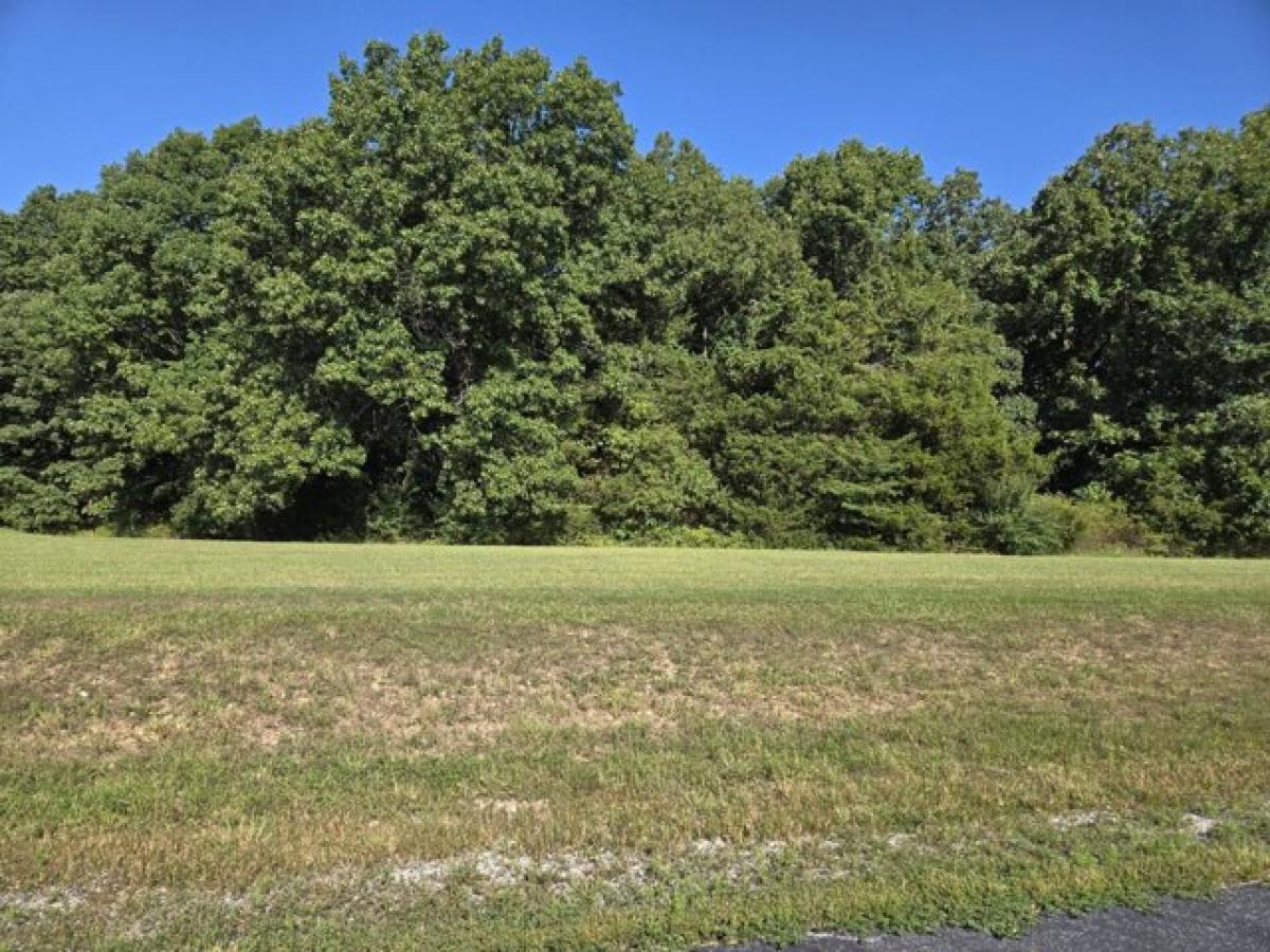 Picture of Residential Land For Sale in Strafford, Missouri, United States