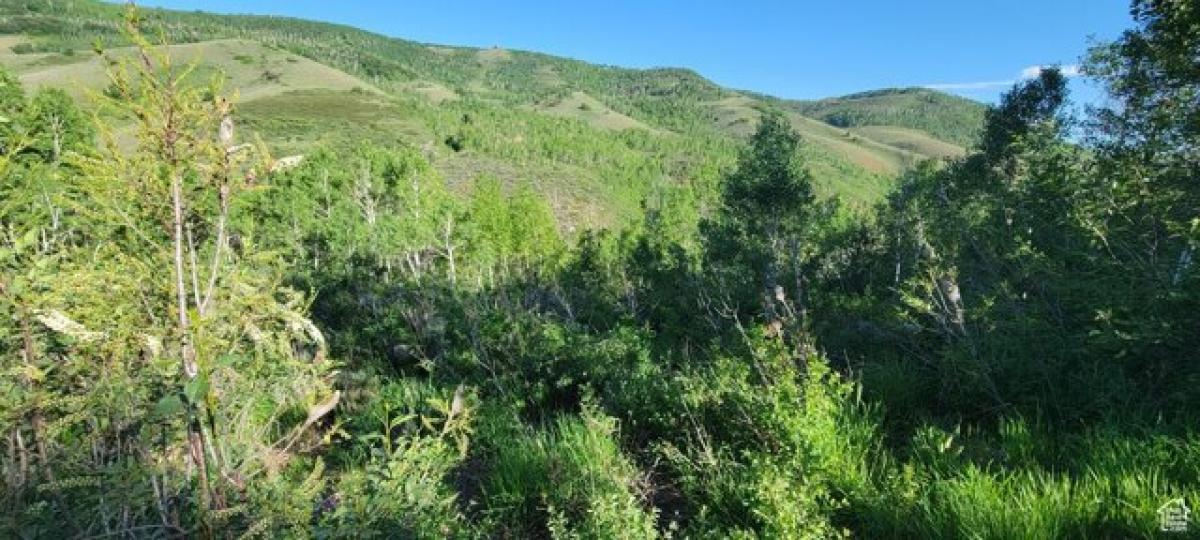 Picture of Residential Land For Sale in Huntsville, Utah, United States