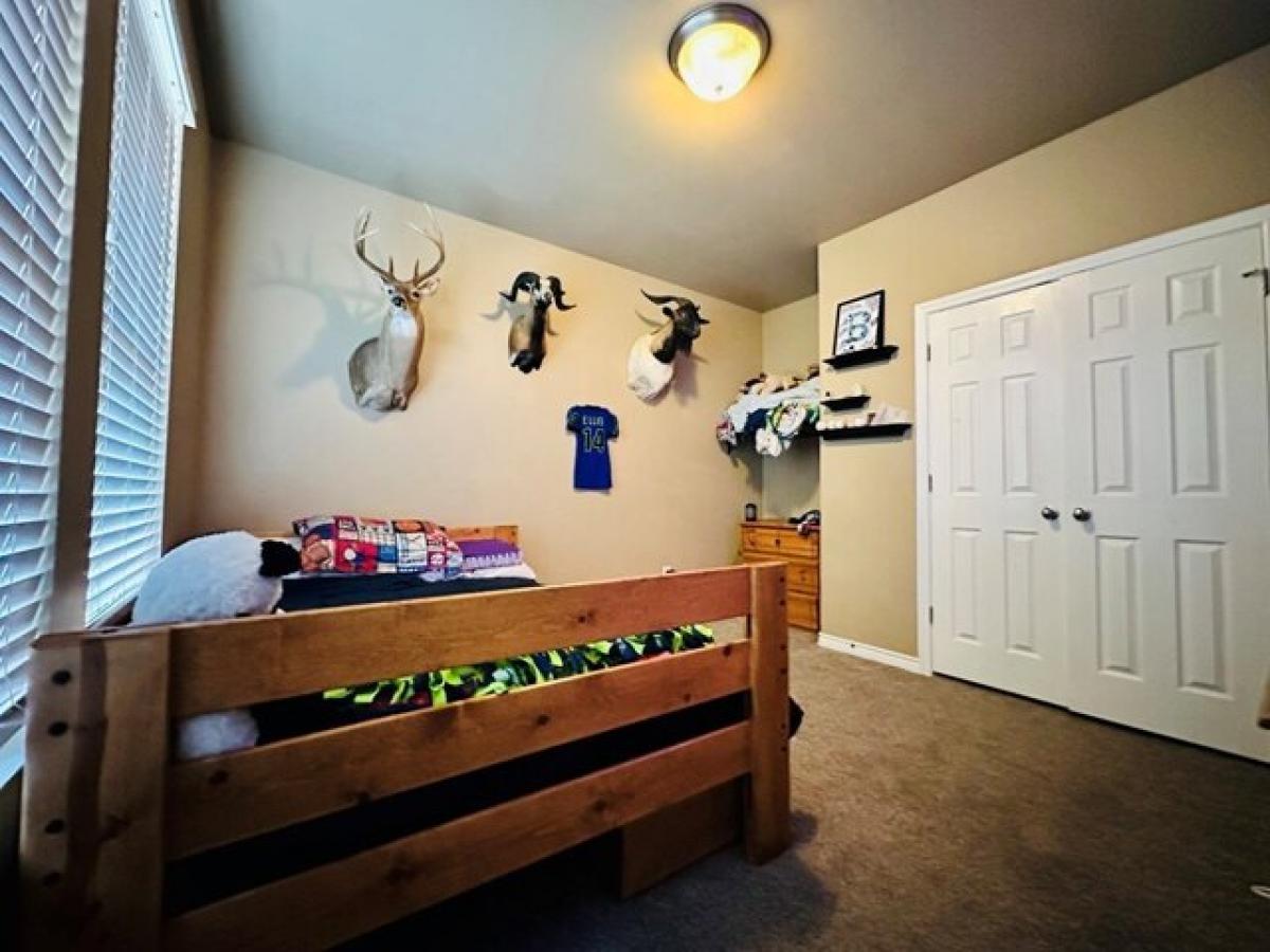 Picture of Home For Rent in Odessa, Texas, United States