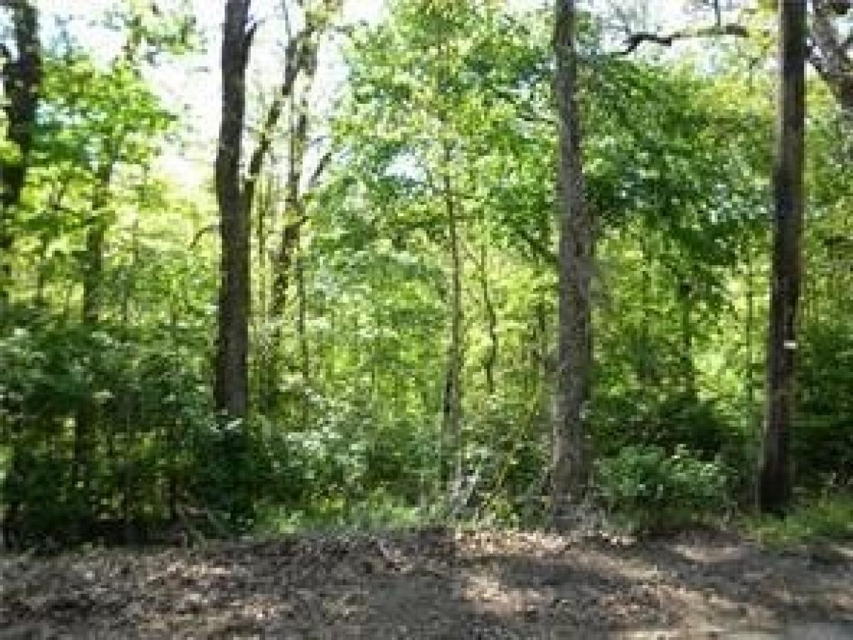 Picture of Residential Land For Rent in Bella Vista, Arkansas, United States