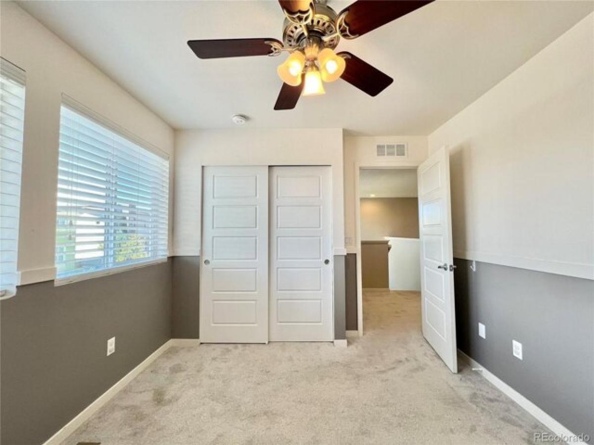 Picture of Home For Rent in Highlands Ranch, Colorado, United States