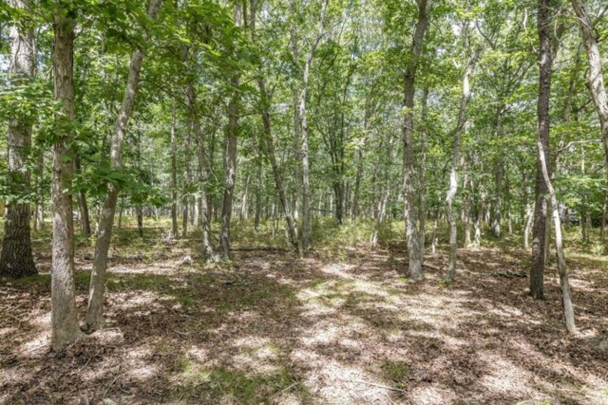 Picture of Residential Land For Sale in East Hampton, New York, United States