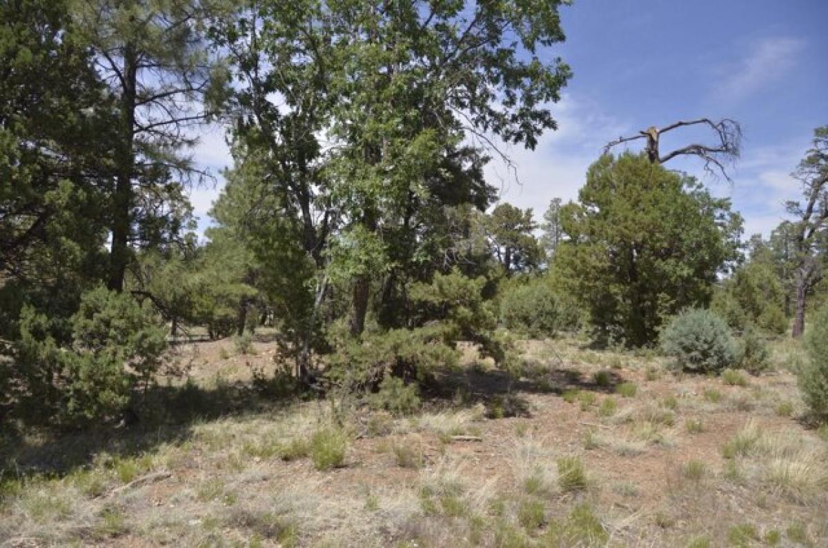 Picture of Residential Land For Sale in Happy Jack, Arizona, United States