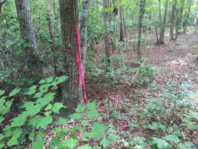 Residential Land For Sale in New Canton, Virginia