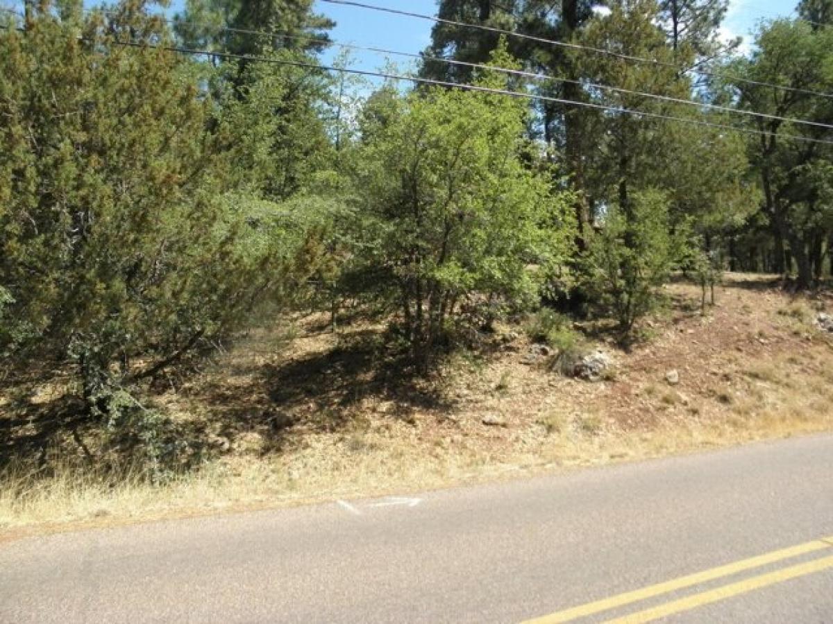 Picture of Residential Land For Sale in Pine, Arizona, United States