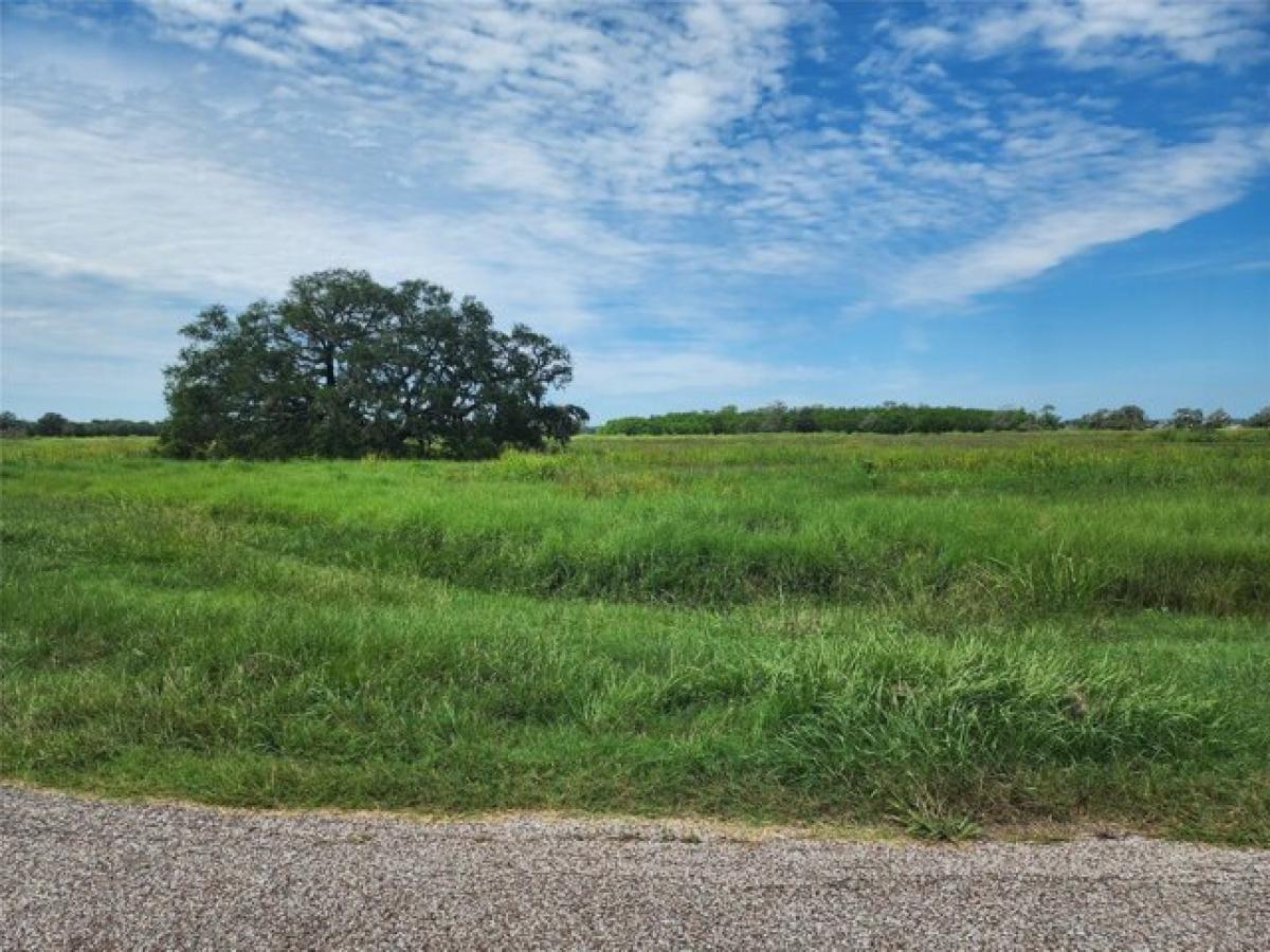 Picture of Residential Land For Sale in Rosharon, Texas, United States