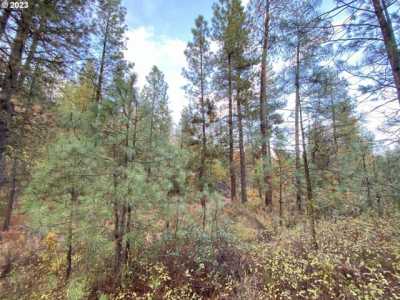 Residential Land For Sale in Goldendale, Washington