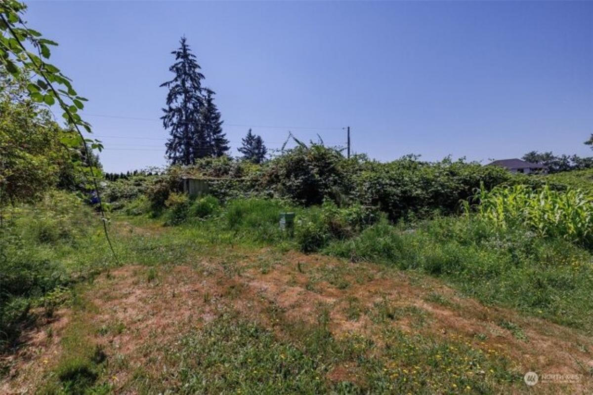 Picture of Residential Land For Sale in Sumner, Washington, United States