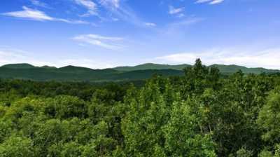 Residential Land For Sale in Morganton, Georgia