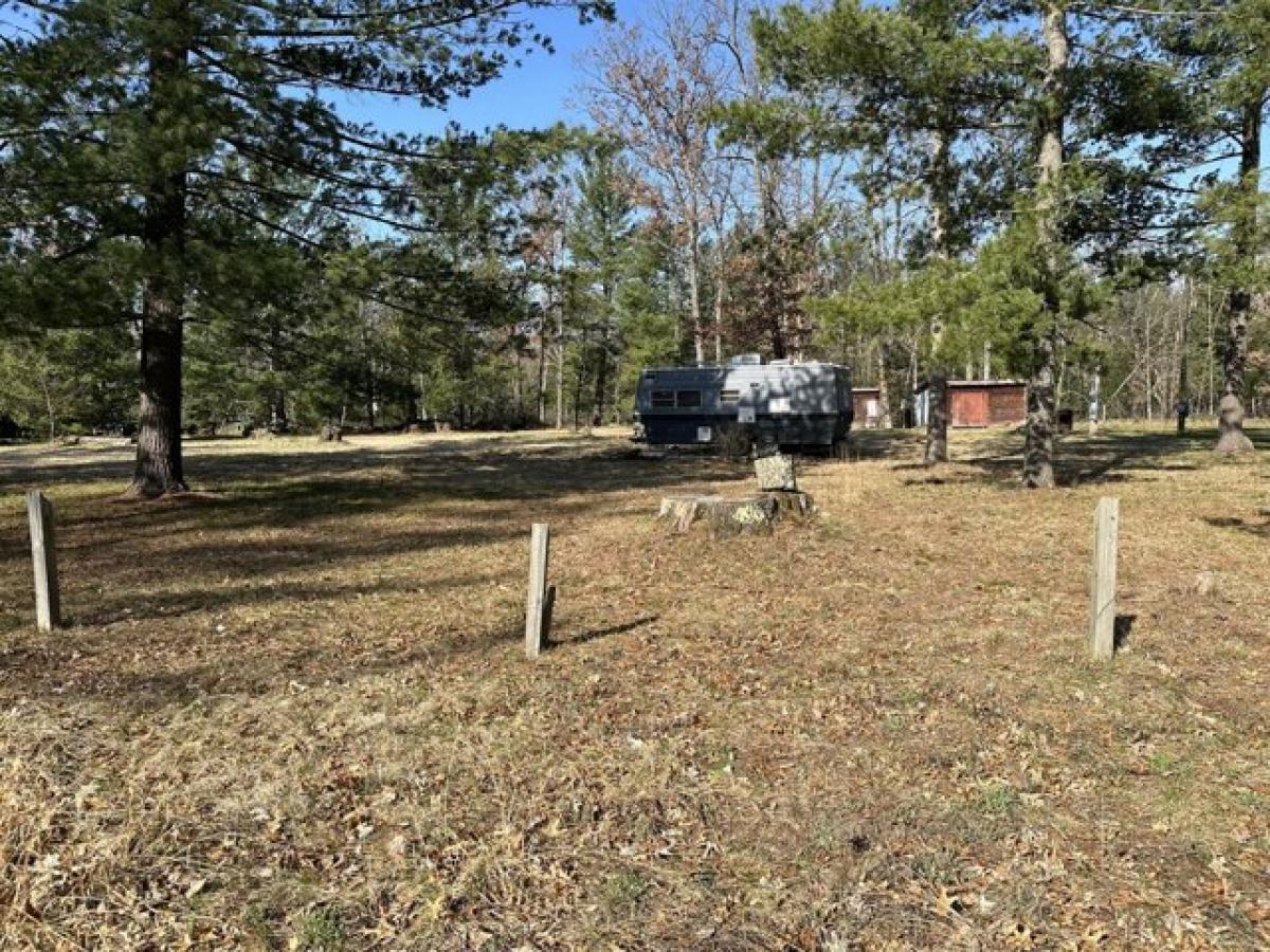 Picture of Residential Land For Sale in Baldwin, Michigan, United States