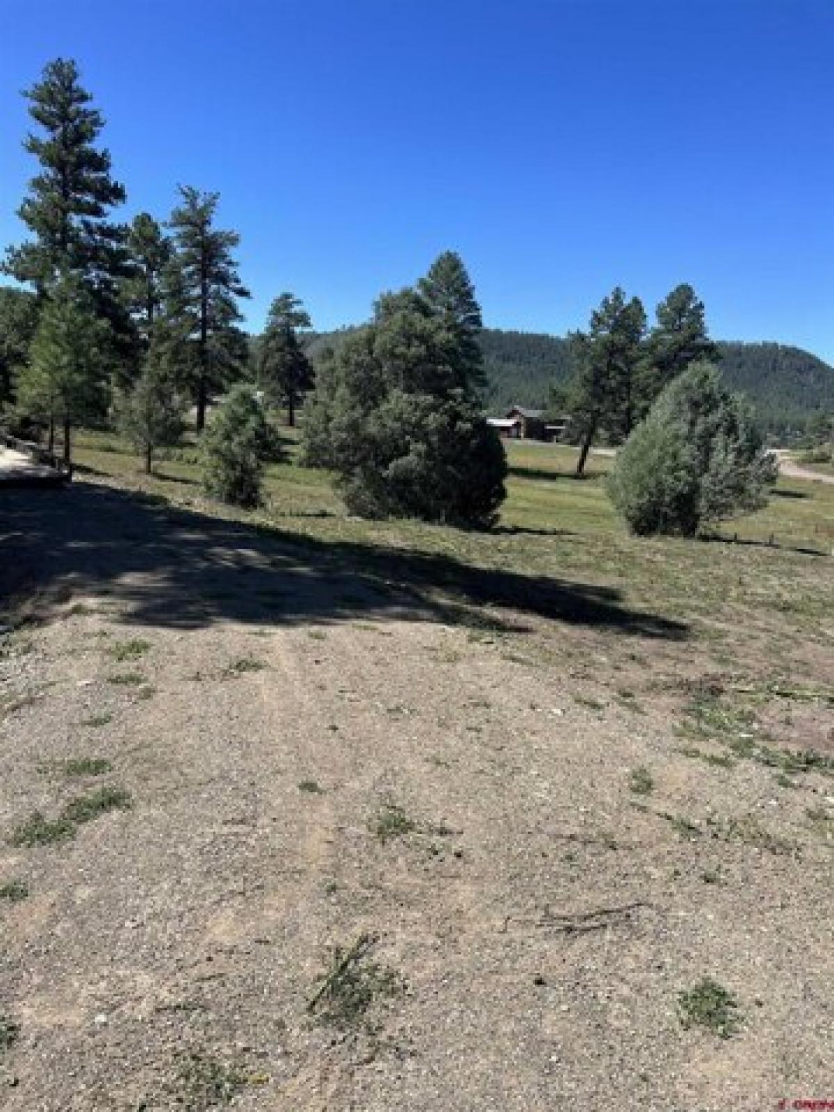 Picture of Residential Land For Sale in Pagosa Springs, Colorado, United States