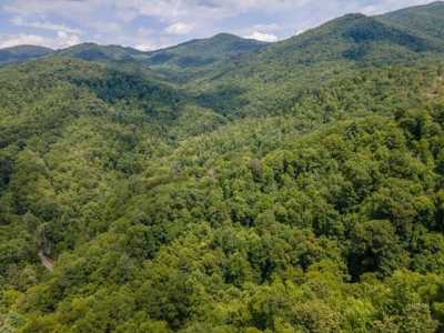 Residential Land For Sale in Franklin, North Carolina