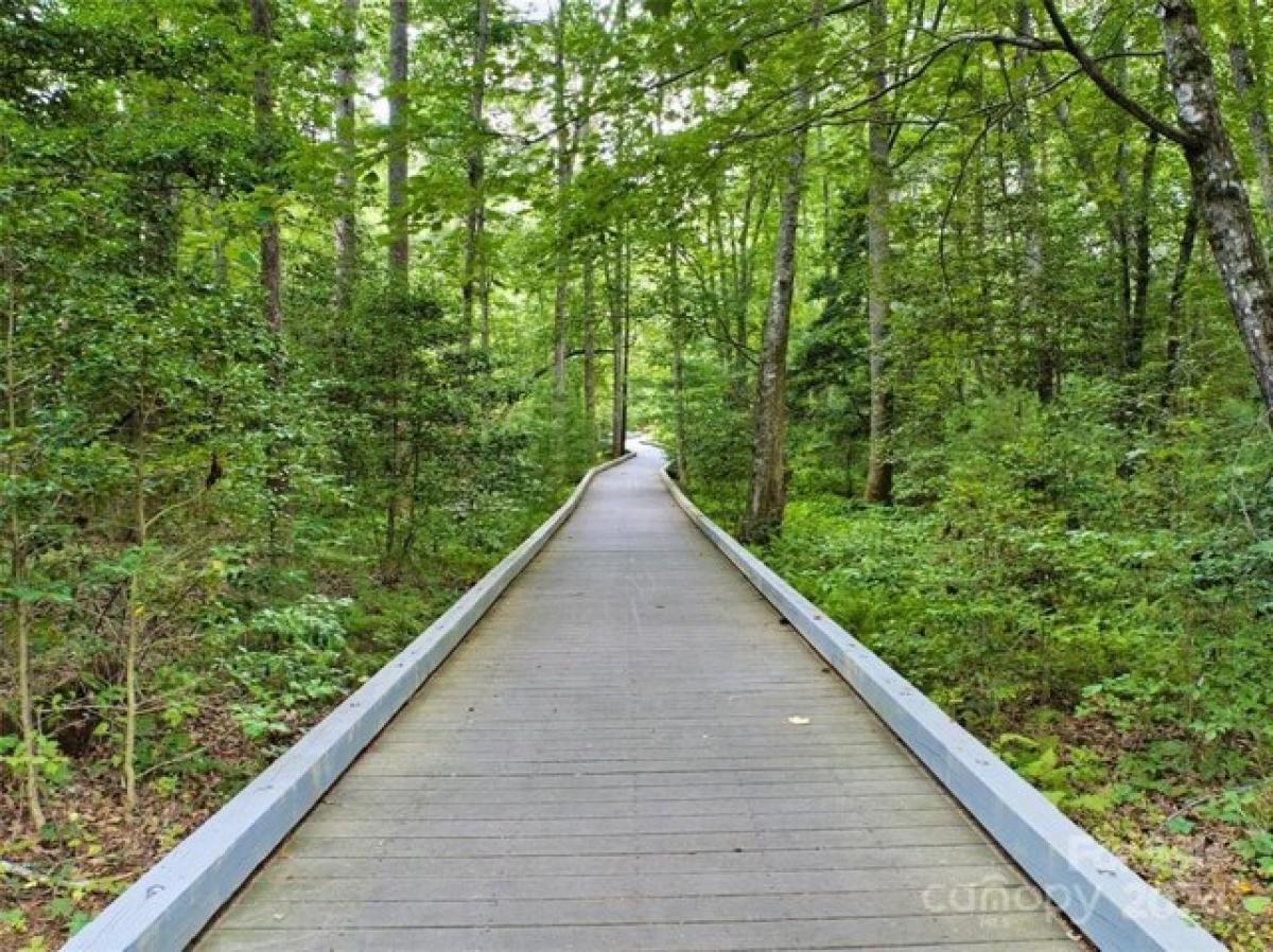 Picture of Residential Land For Sale in Asheville, North Carolina, United States