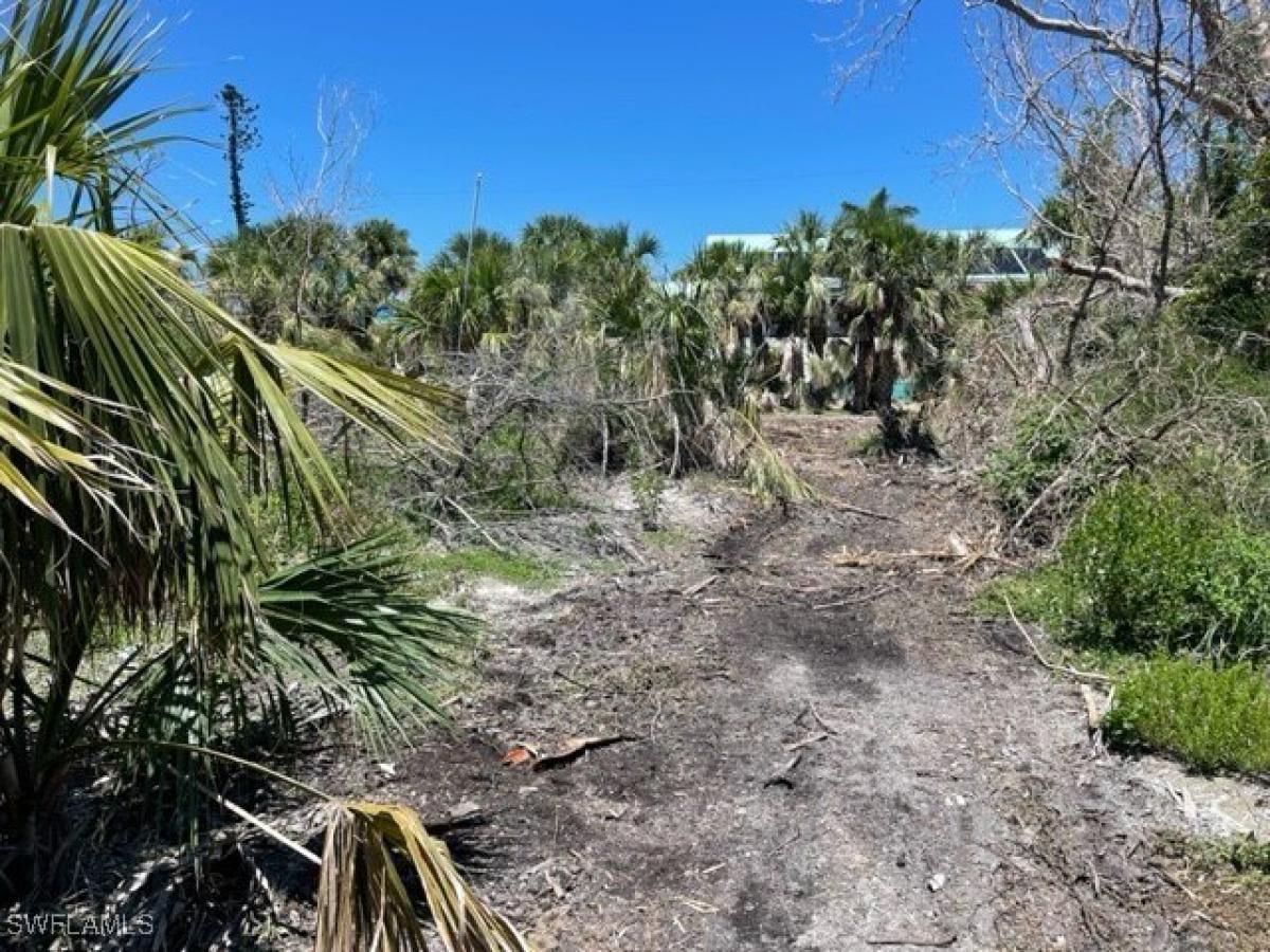 Picture of Residential Land For Sale in Sanibel, Florida, United States