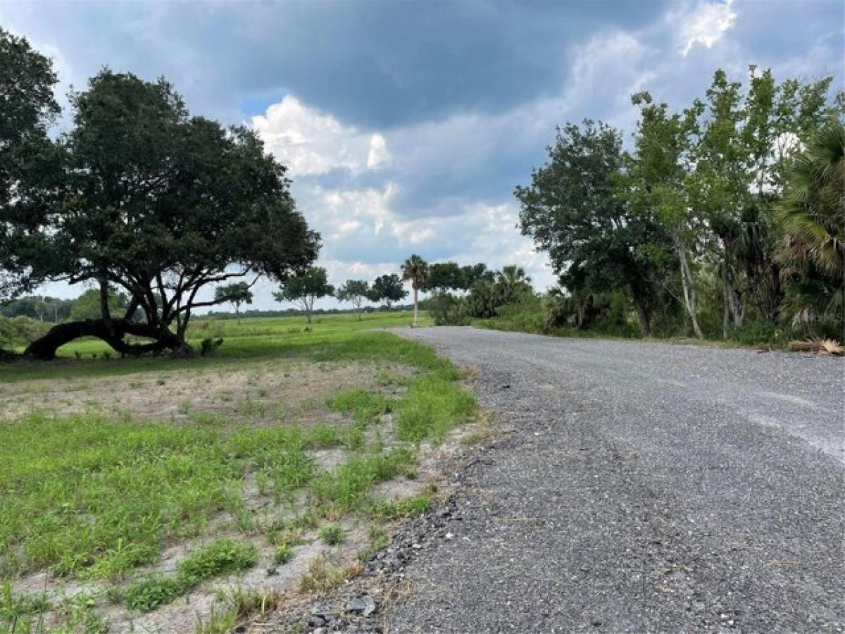 Picture of Residential Land For Sale in Umatilla, Florida, United States