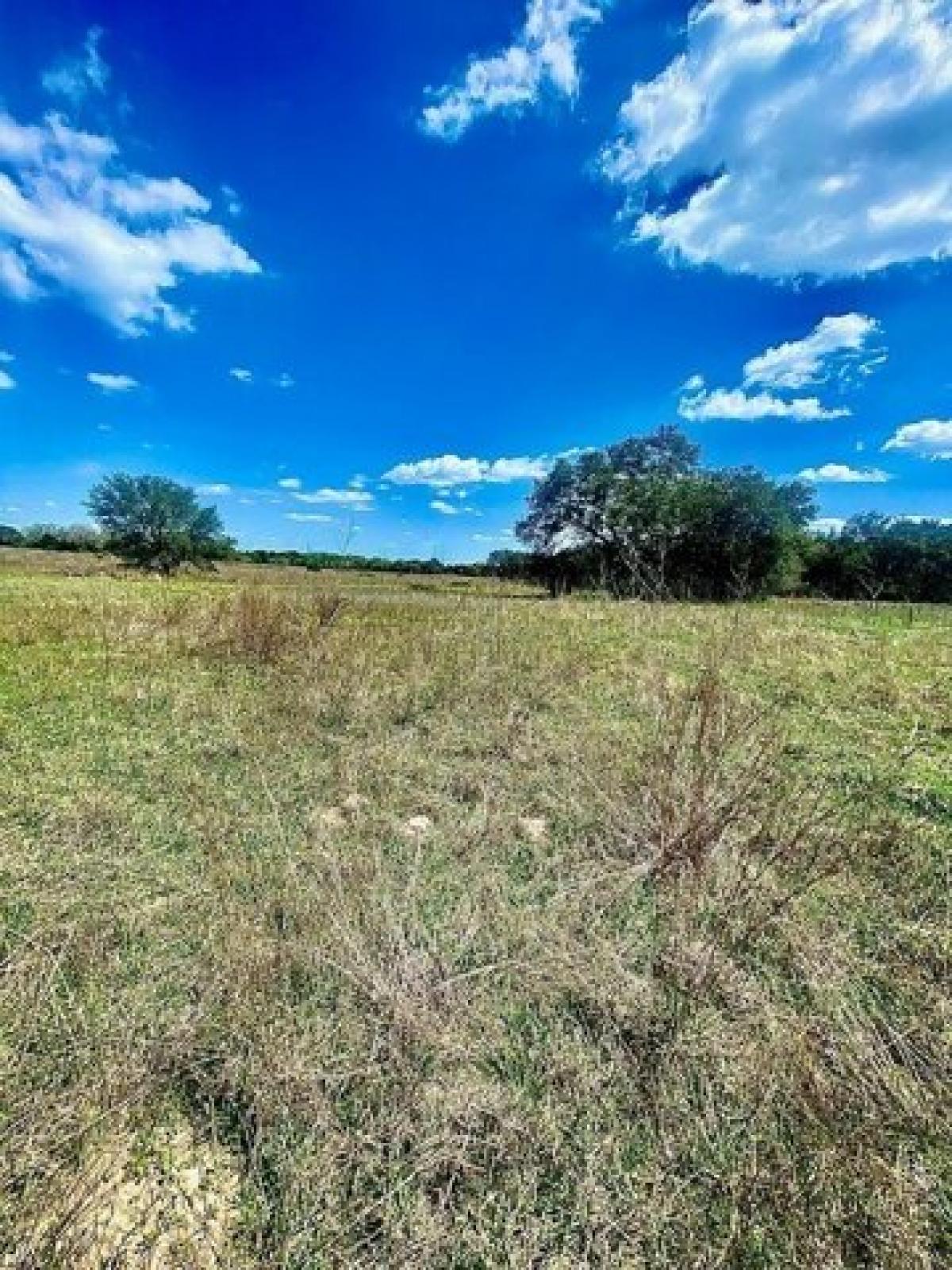 Picture of Residential Land For Sale in Hallettsville, Texas, United States