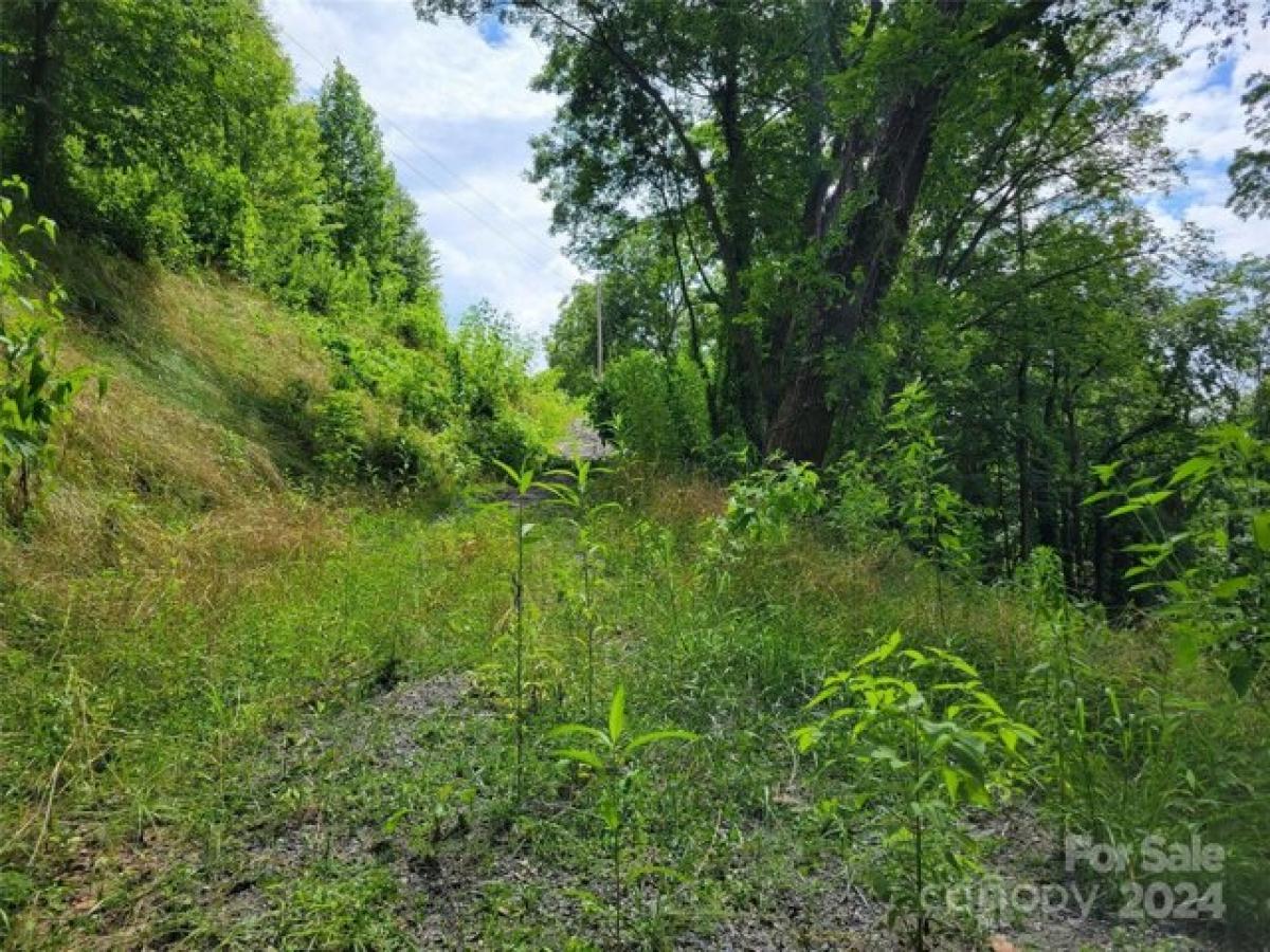 Picture of Residential Land For Sale in Clyde, North Carolina, United States