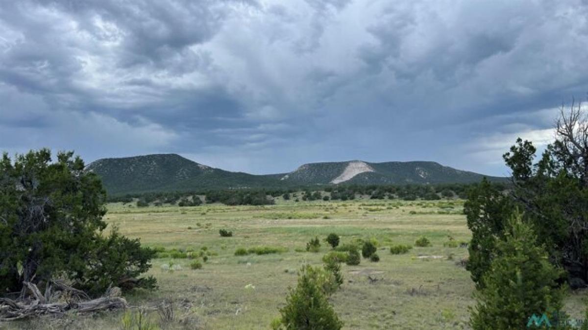 Picture of Residential Land For Sale in Quemado, New Mexico, United States