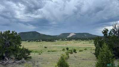 Residential Land For Sale in Quemado, New Mexico