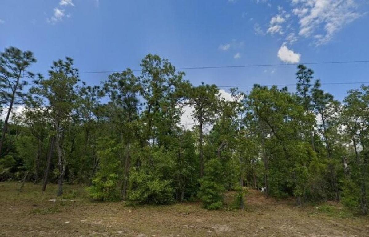 Picture of Residential Land For Sale in Keystone Heights, Florida, United States