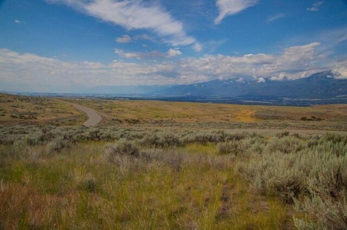 Picture of Residential Land For Sale in Florence, Montana, United States