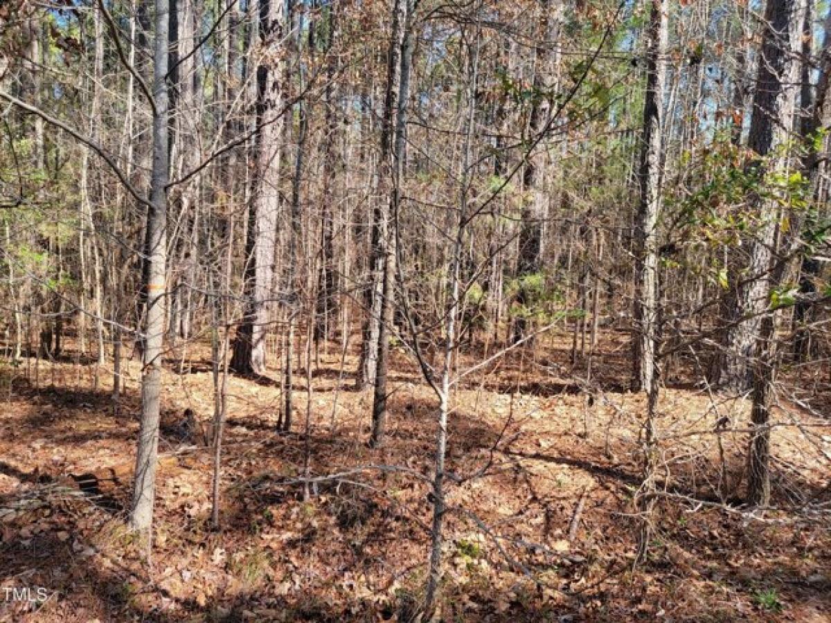 Picture of Residential Land For Sale in Macon, North Carolina, United States