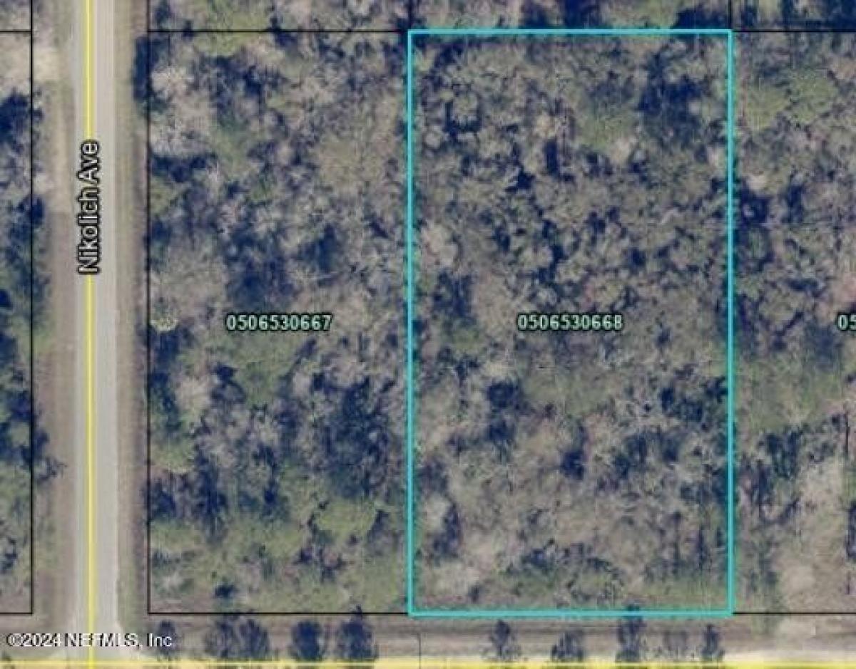 Picture of Residential Land For Sale in Hastings, Florida, United States