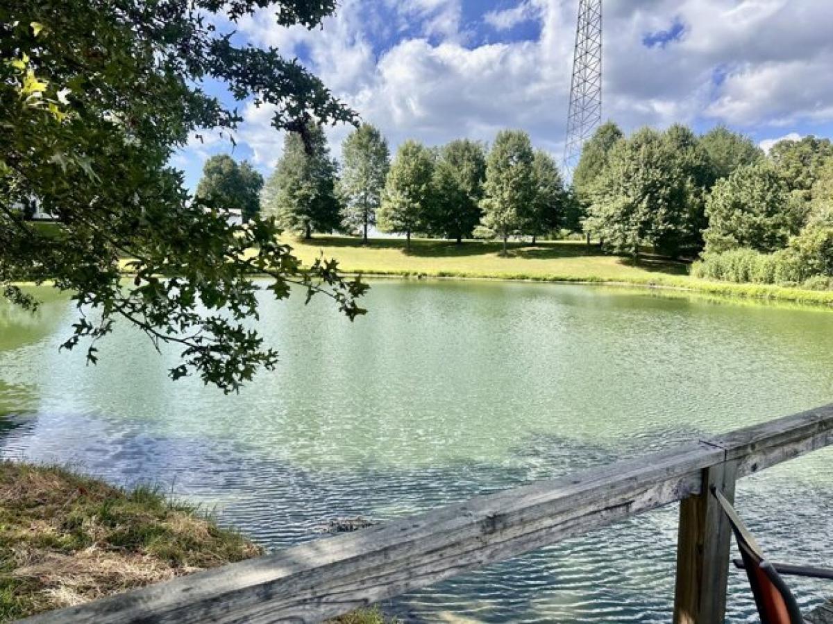 Picture of Home For Sale in Hornbeak, Tennessee, United States