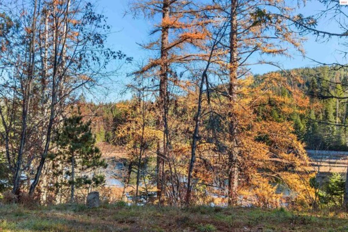 Picture of Home For Sale in Sagle, Idaho, United States