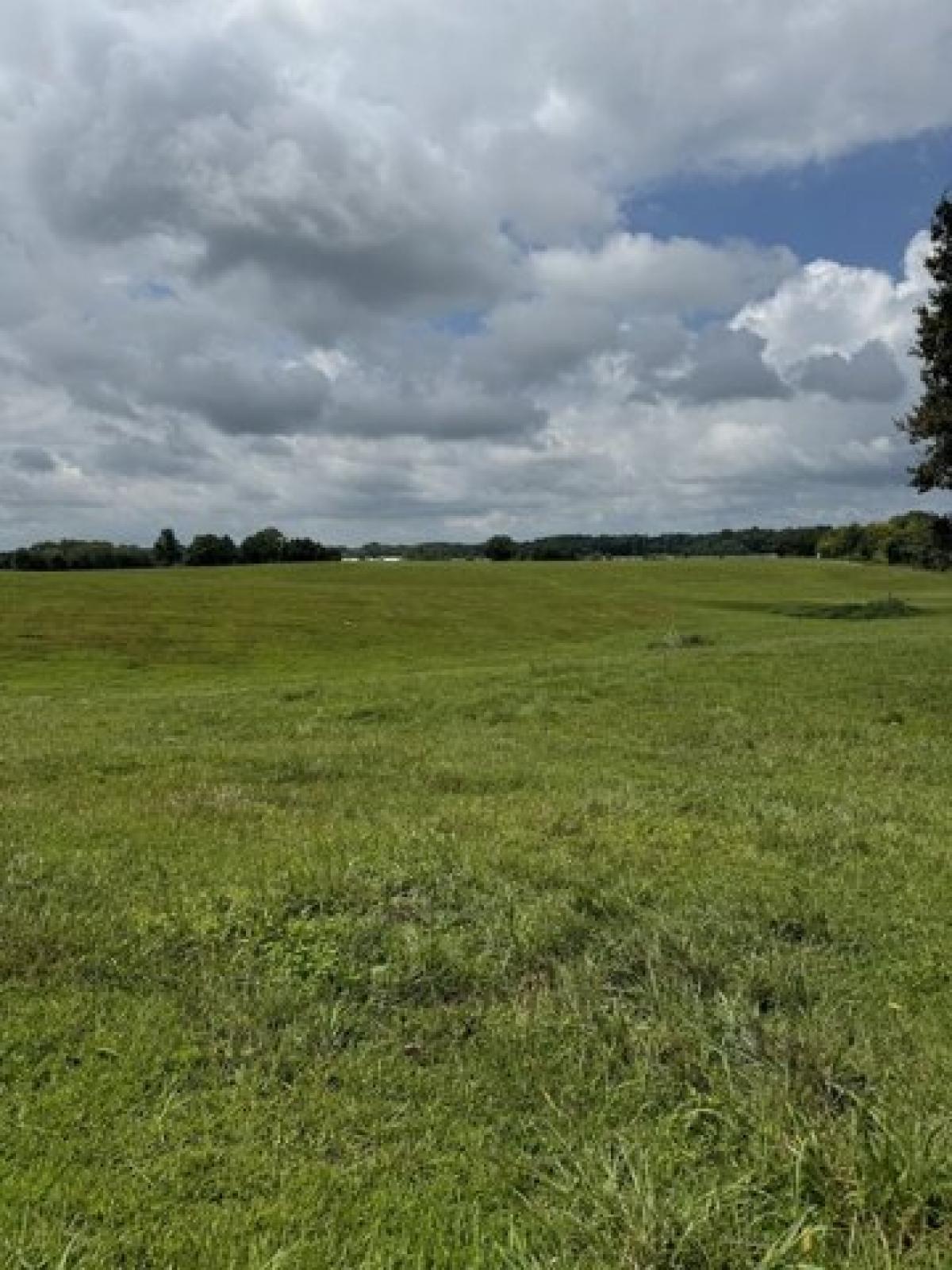 Picture of Residential Land For Sale in Whitleyville, Tennessee, United States