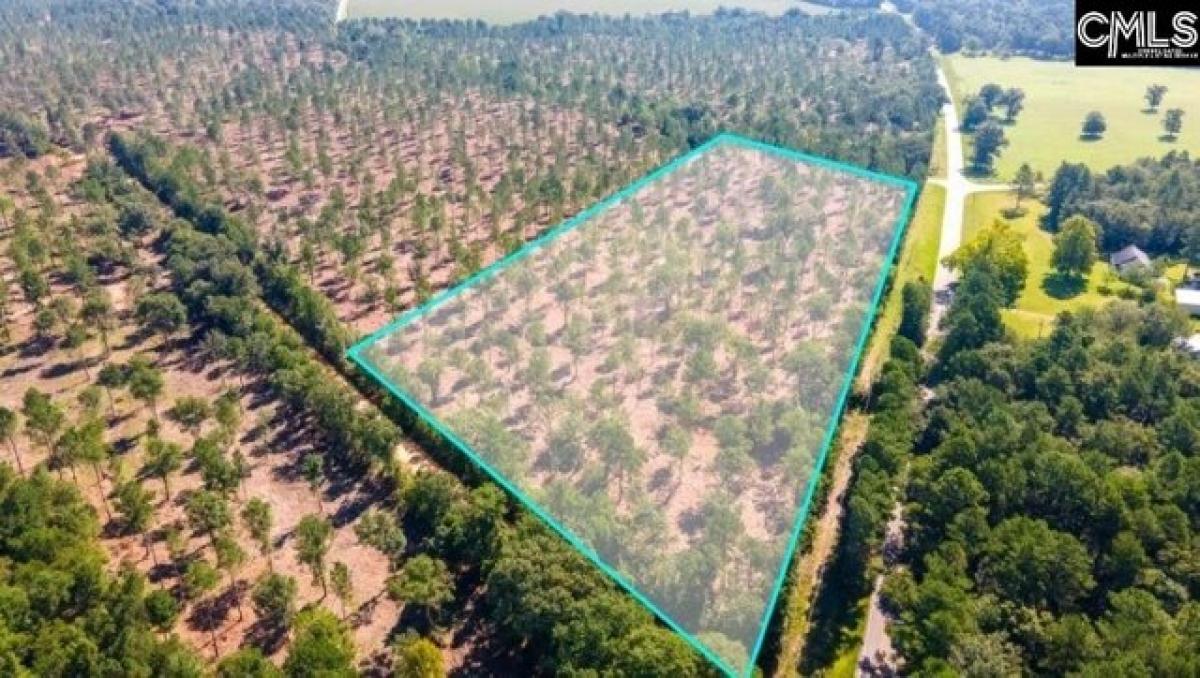 Picture of Residential Land For Sale in Wagener, South Carolina, United States