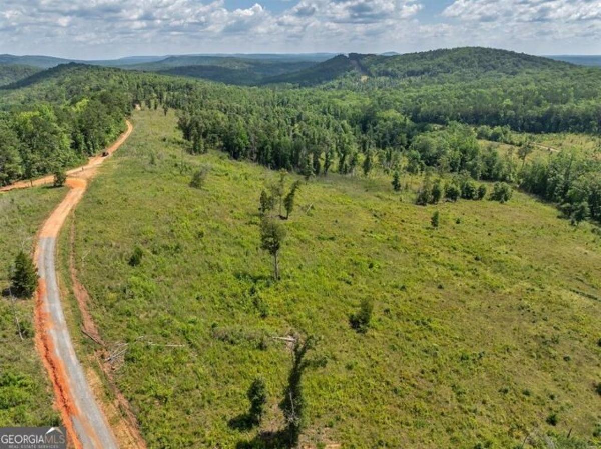 Picture of Residential Land For Sale in Woodland, Georgia, United States