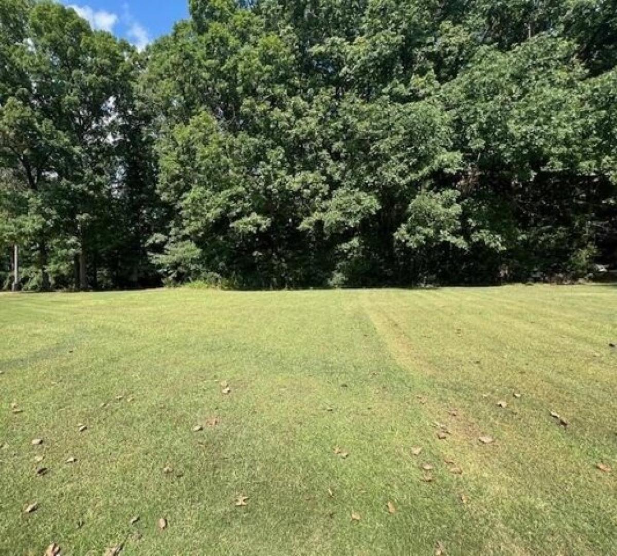 Picture of Residential Land For Sale in Bolivar, Tennessee, United States