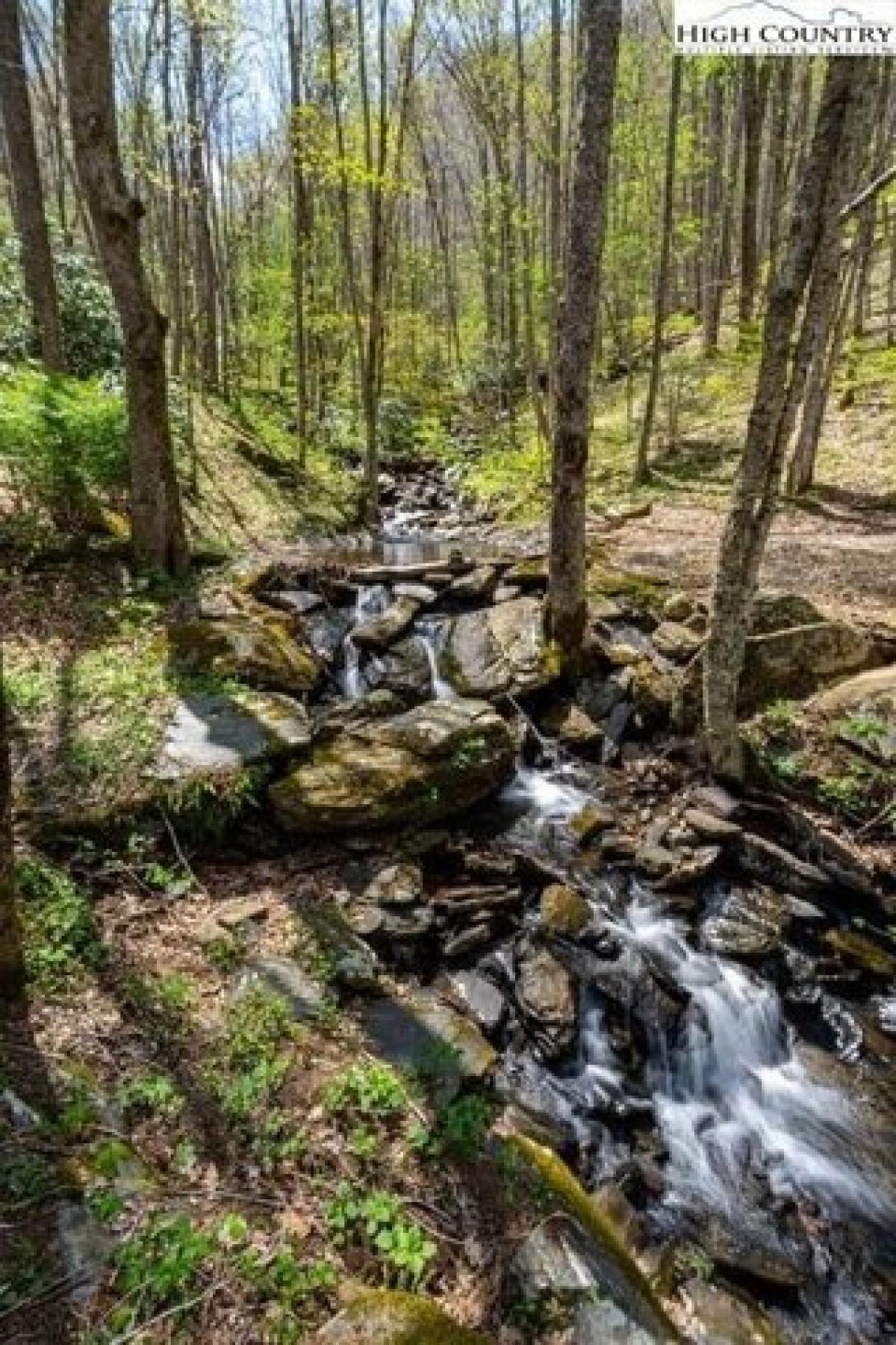 Picture of Residential Land For Sale in Todd, North Carolina, United States