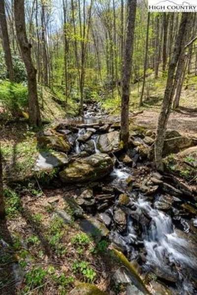 Residential Land For Sale in Todd, North Carolina