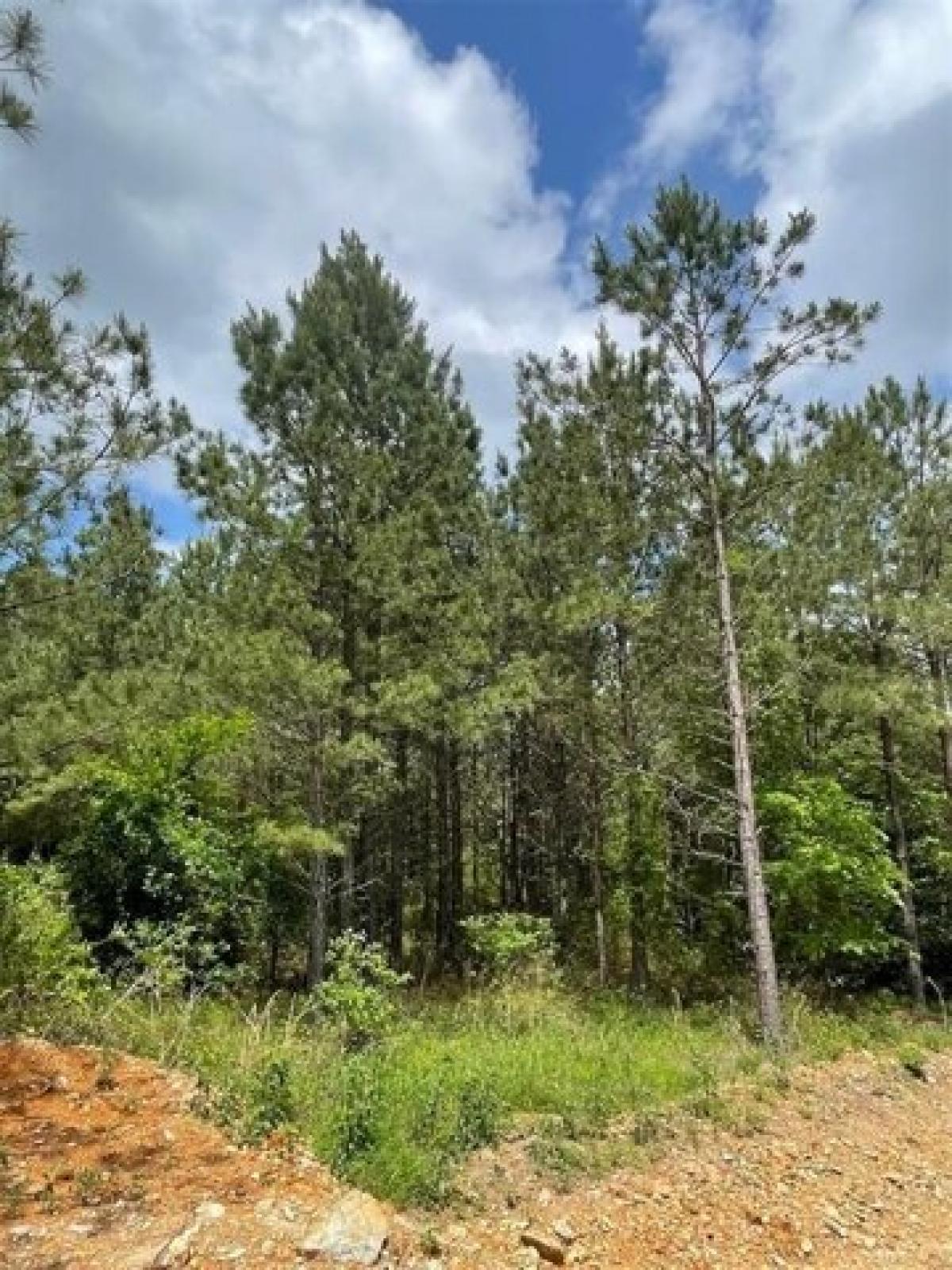 Picture of Residential Land For Sale in Broken Bow, Oklahoma, United States