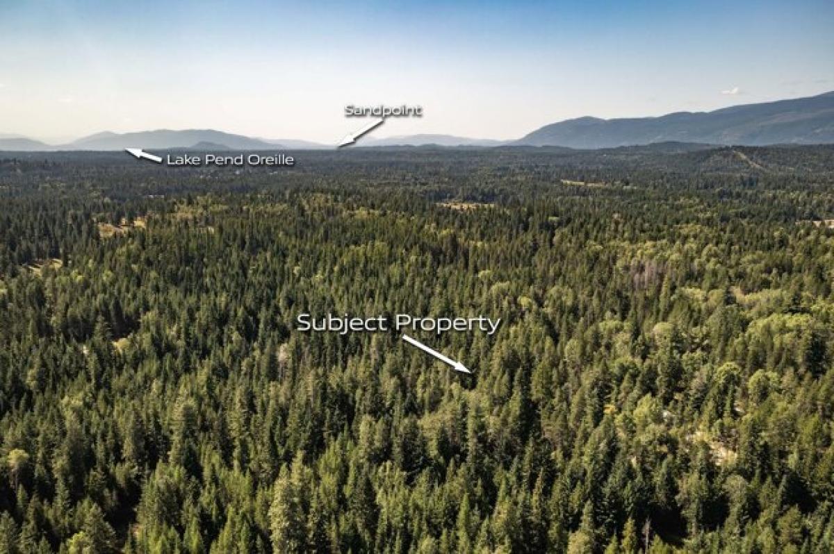 Picture of Residential Land For Sale in Sandpoint, Idaho, United States